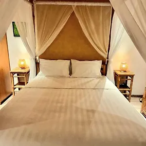 Song Anh Indochina Nguyen Thai Binh Homestay