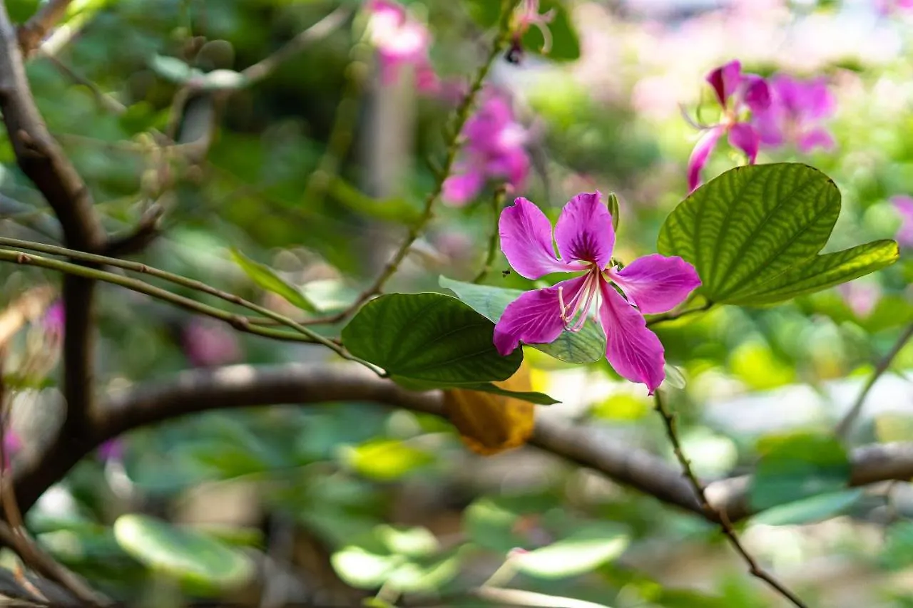 Holo Bato Saigon - Serviced Homestay Ho Chi Minh City
